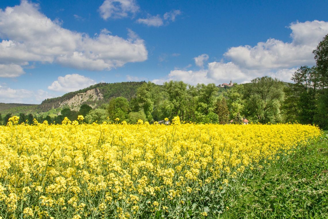 Kahla Blick auf die Leuchtenburg