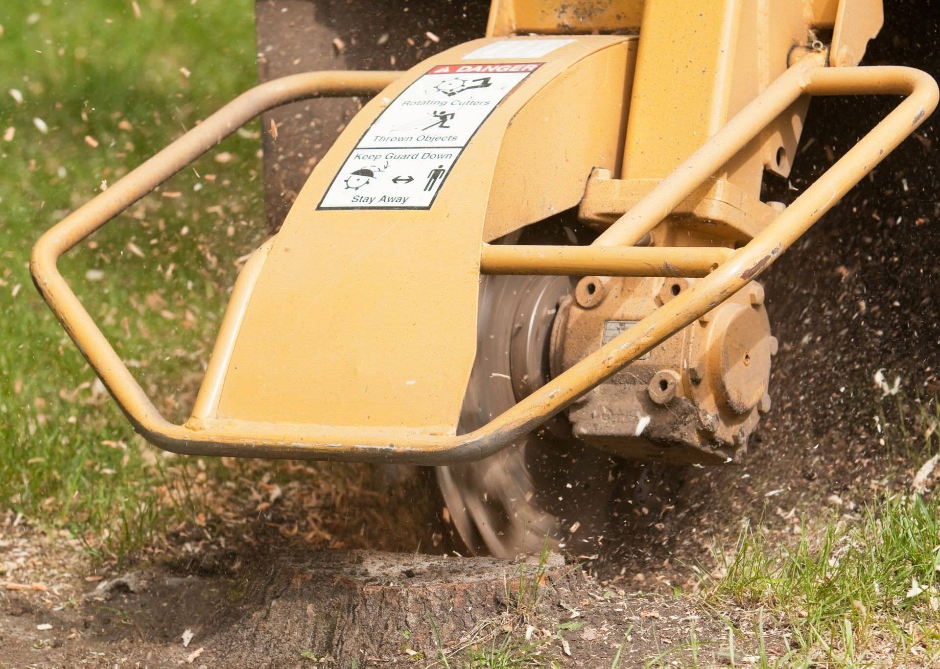 stump grinding service being performed in El Paso