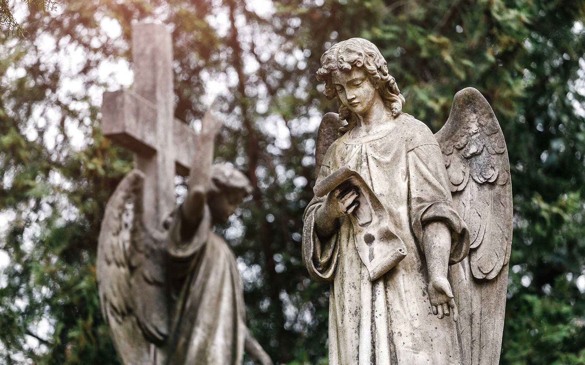 statue di angeli