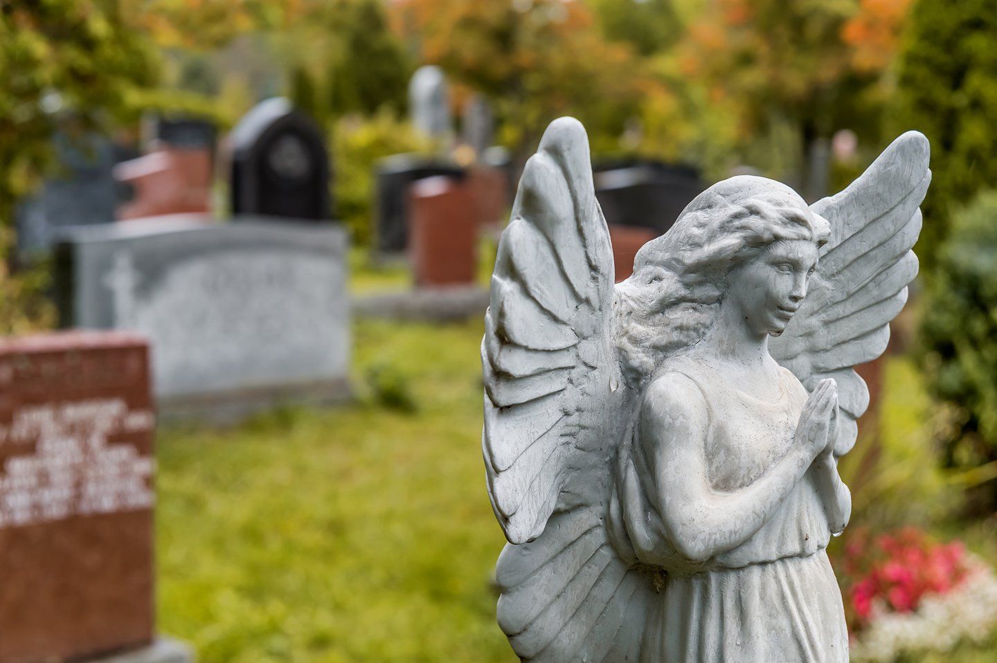 angelo di pietra in un cimitero