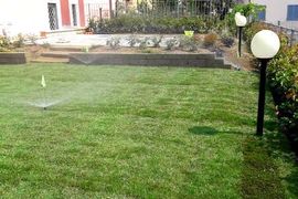 Un irrigatore spruzza acqua su un prato verde rigoglioso.