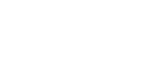 Patriot electric clearance