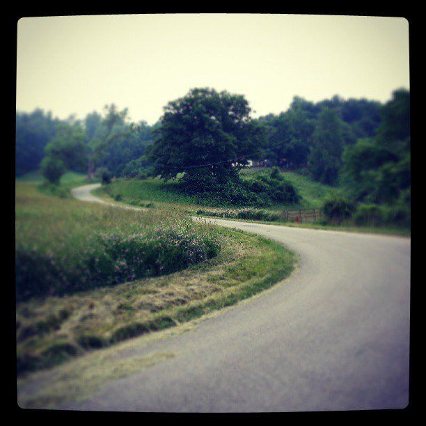 A beautiful landscape, showing a road with a tree on the side of it
