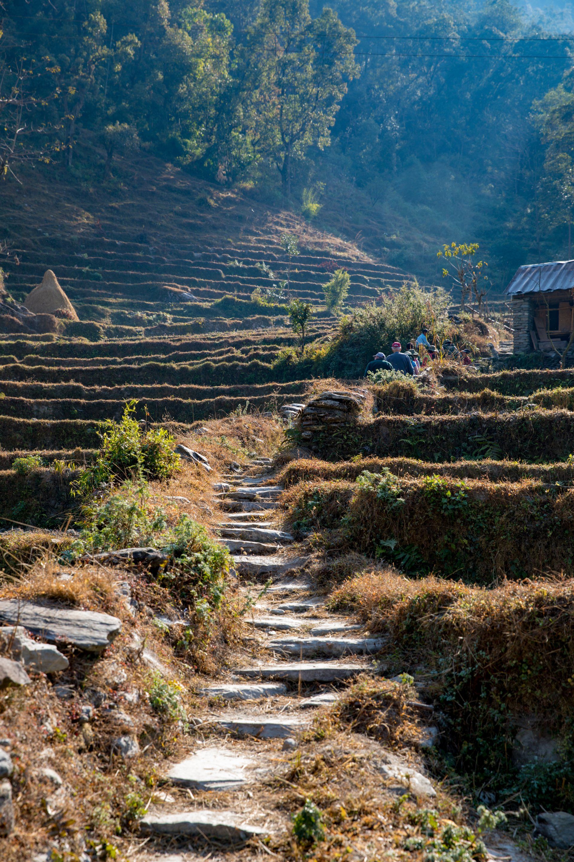A stone path leading to a house in the middle of a field.