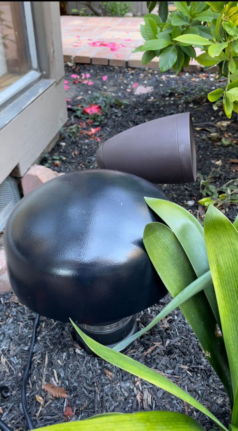 A black speaker is sitting in the dirt next to a plant