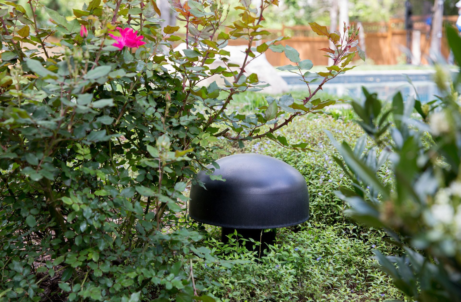 Outdoor Landscaped Buried Subwoofer