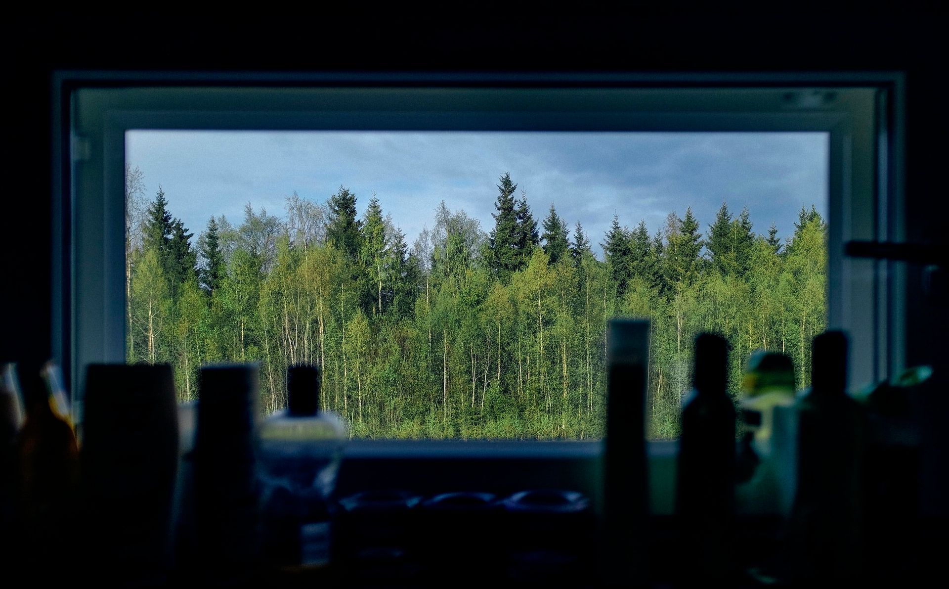 A window with a view of a forest in the background