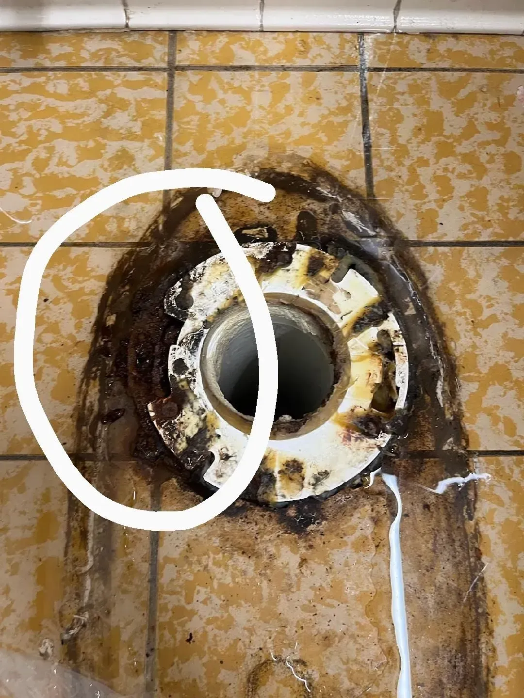 A close up of a toilet flange on a tiled floor with a white circle around it.