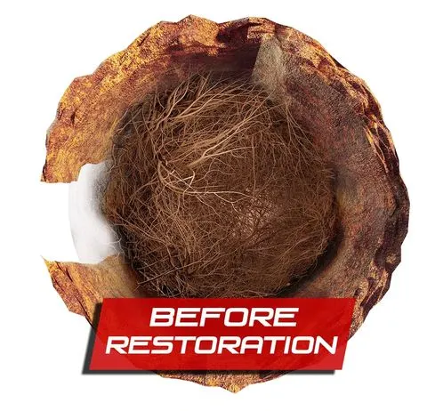 A picture of a coconut before restoration