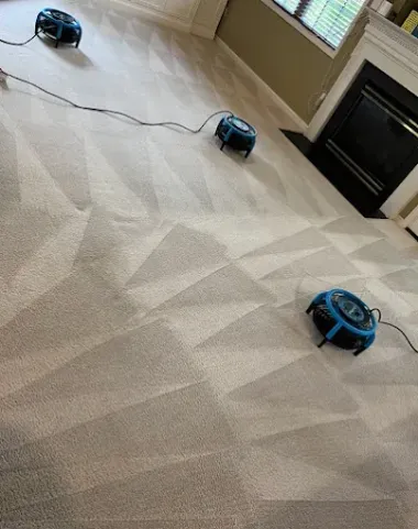 Three blue industrial fans dry a beige carpet in a living room near a fireplace.