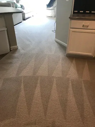 Light beige carpet with a triangular vacuum pattern, leading into a room with a white cabinet on the right.