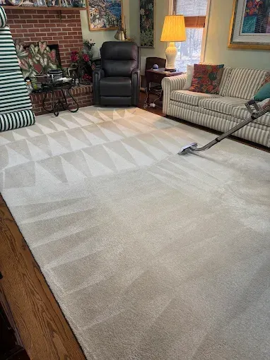 A vacuum cleaner cleans a beige living room carpet, showing a distinct line between the dirty and clean sections.