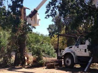Hazardous Tree Removal — Mendocino County, CA — Marvin’s Garden Tree Services