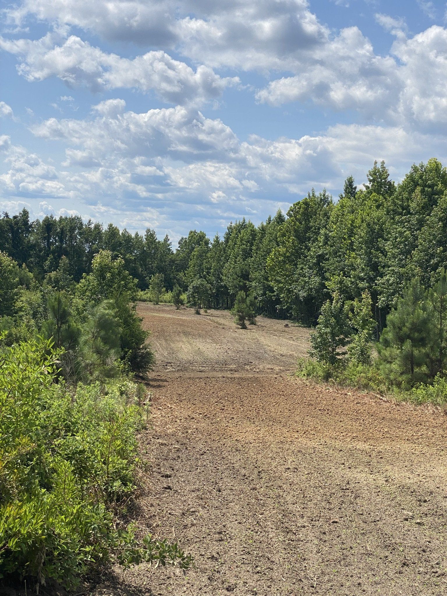 Large Property Forestry Mulching Service