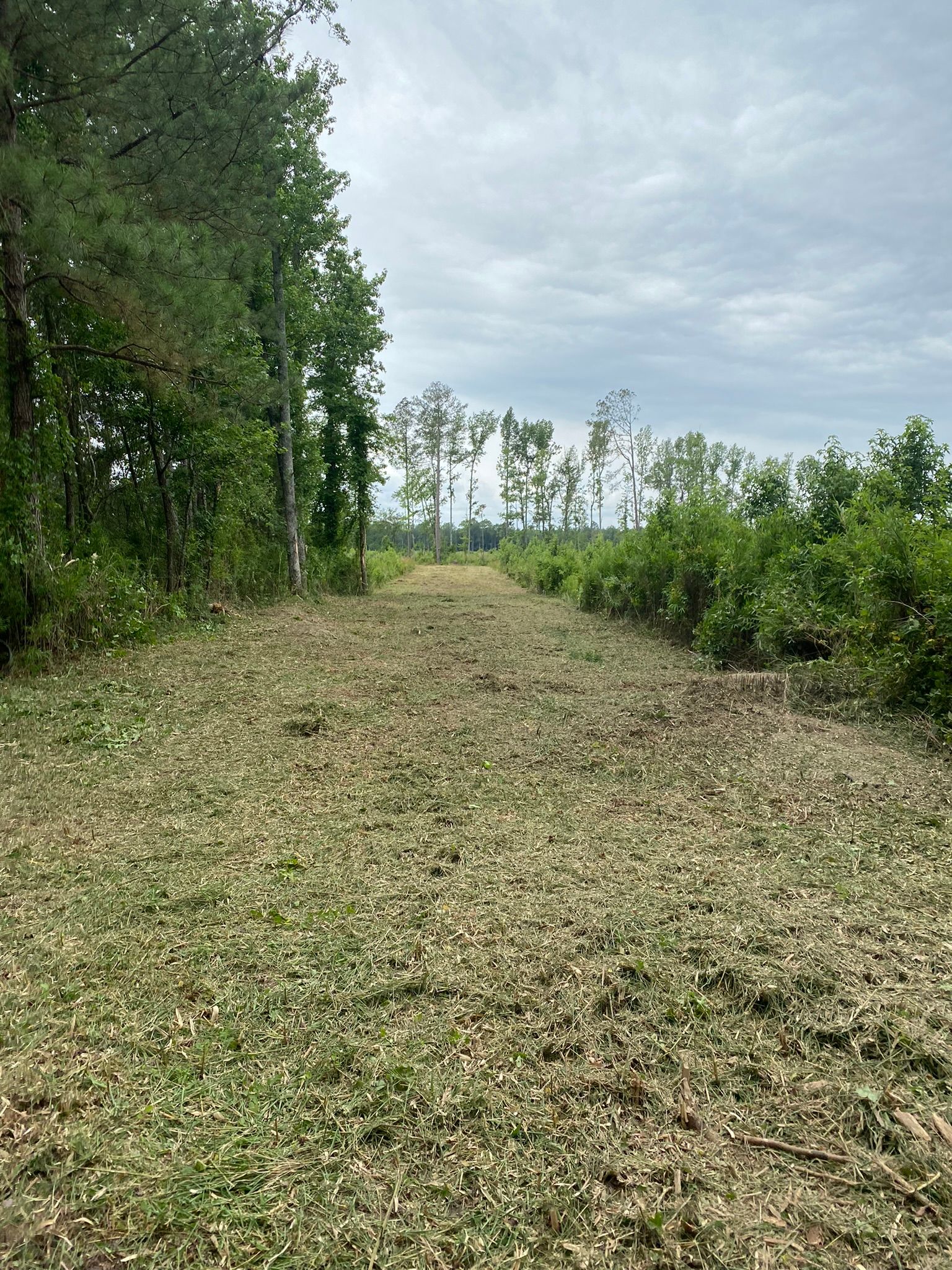 Large Property Clearing Services