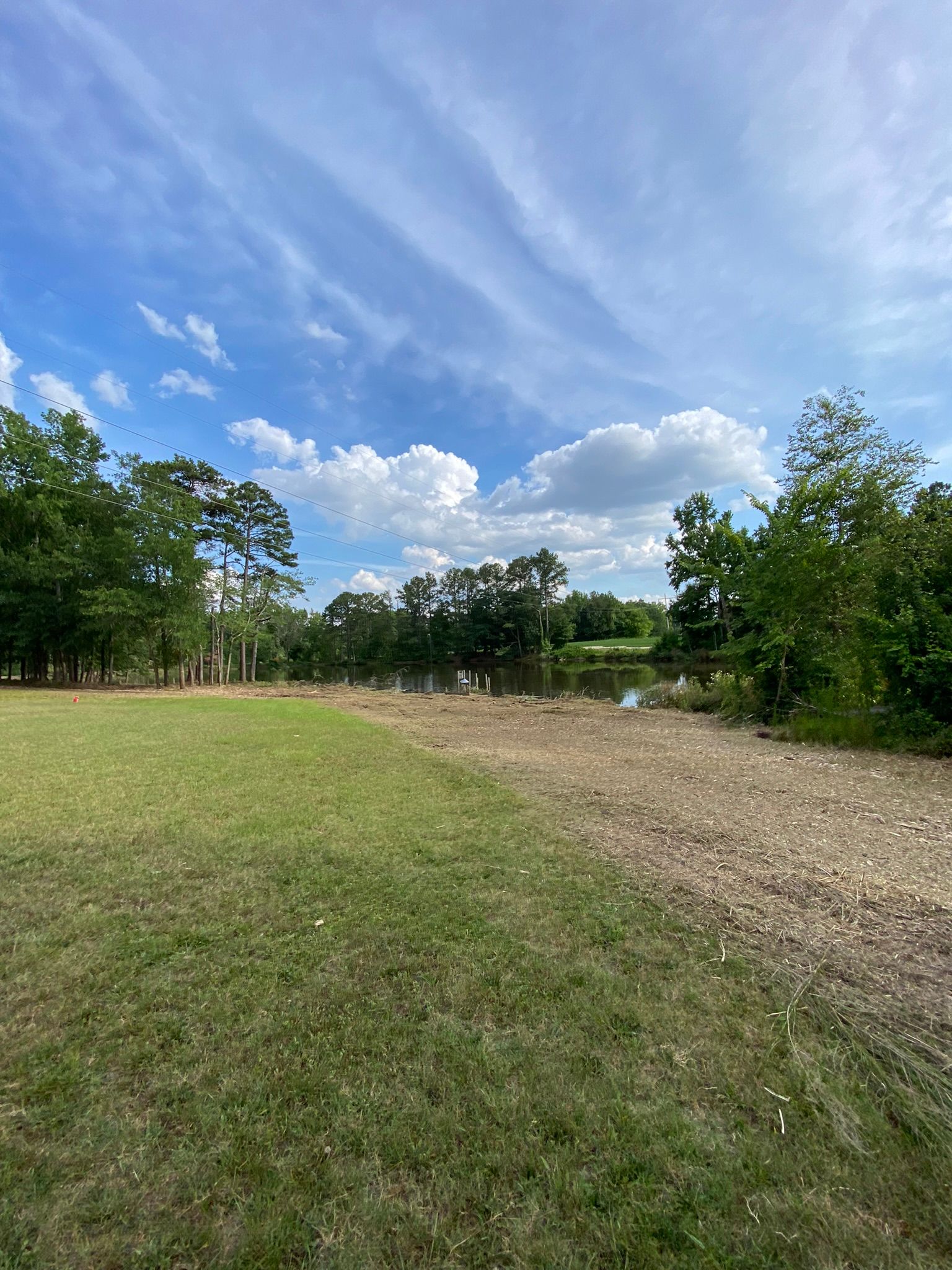 Residential Property Clearing Services