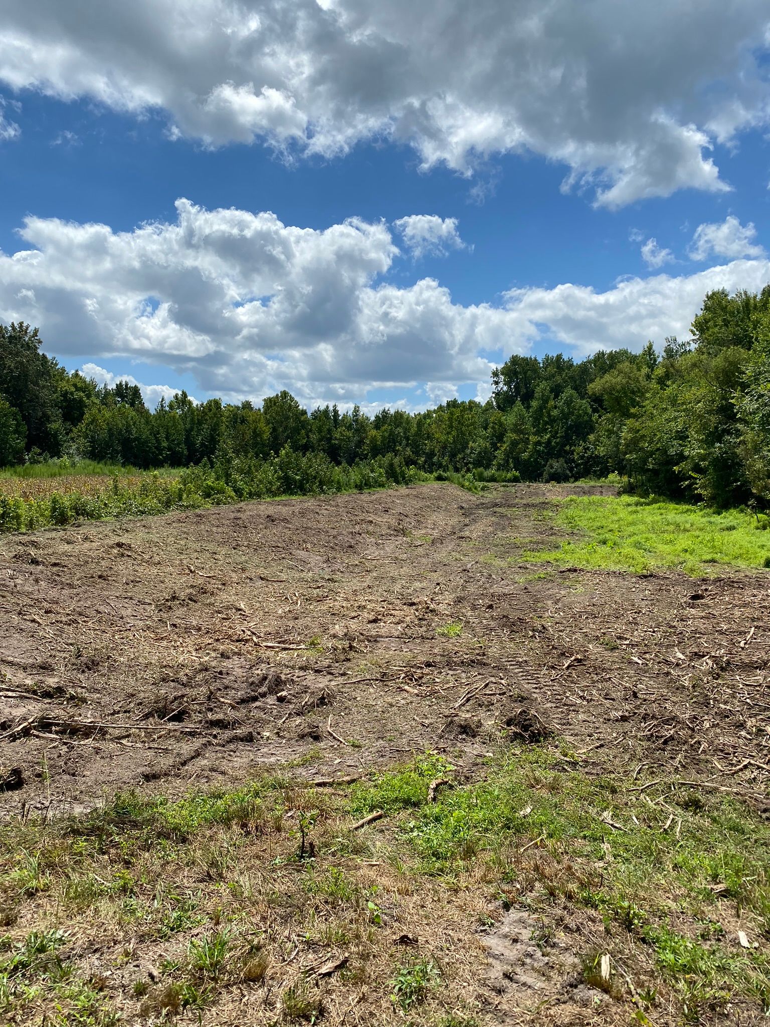 Large Residential Forest Area Mulching
