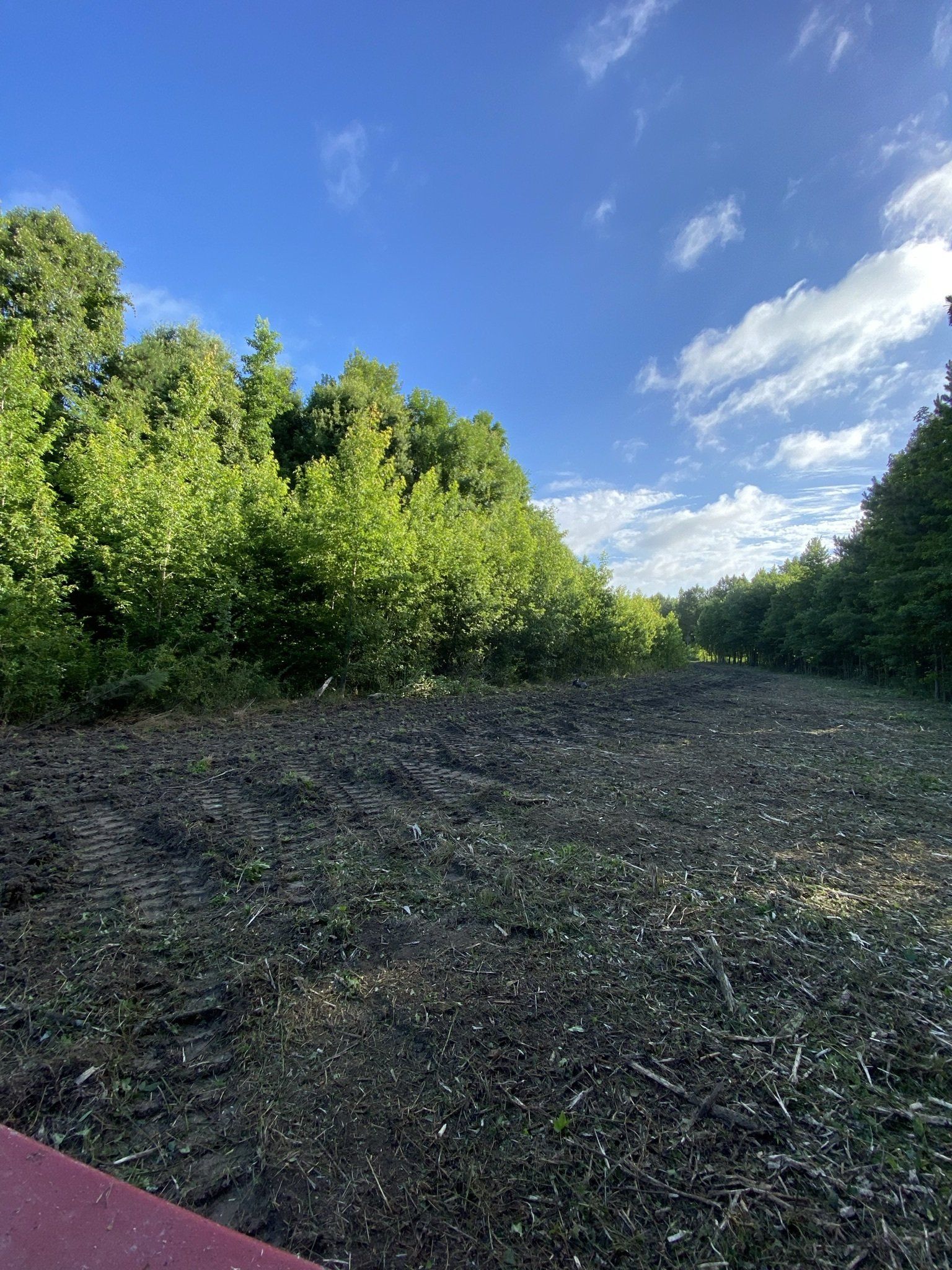 Forestry Clearing Service