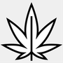 rocky mountain cannabis gunnison