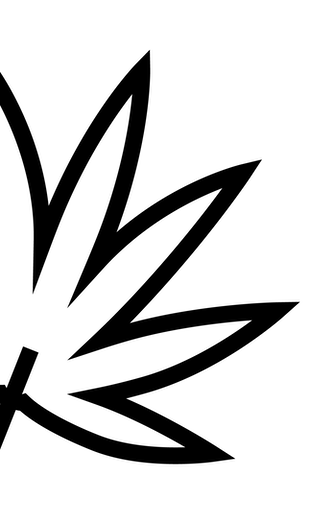 Rocky Mountain Cannabis Gunnison
