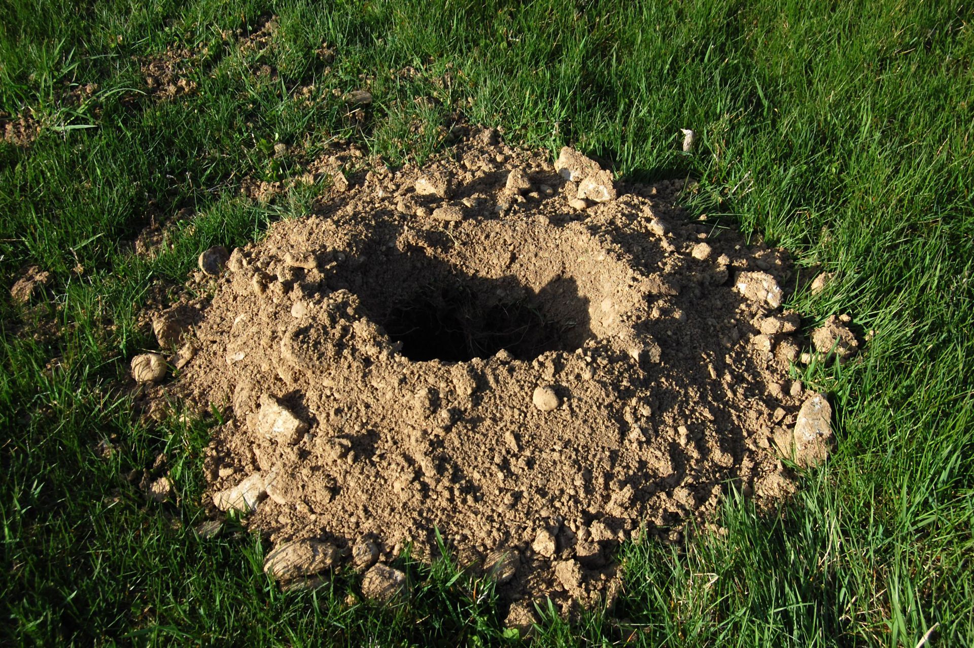 A pile of excavated dirt forming a mound around a hole in a patch of green grass.