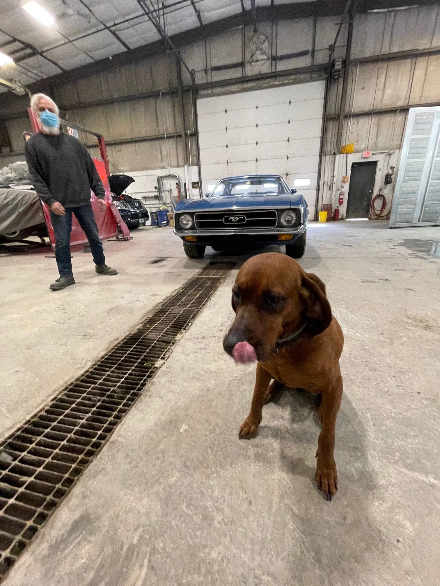 Classic Restoration Experts – Ray Lasnier’s Classics and Collision – Essex, VT