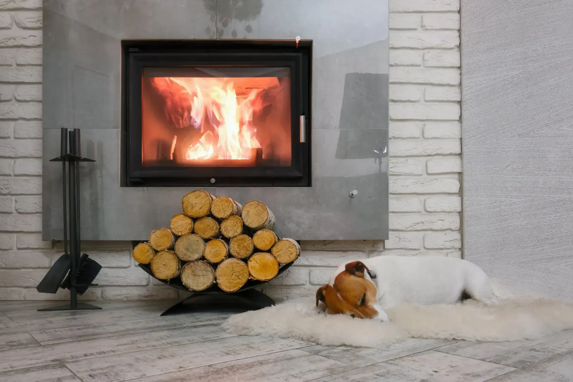 A dog is laying on a rug in front of a fireplace.