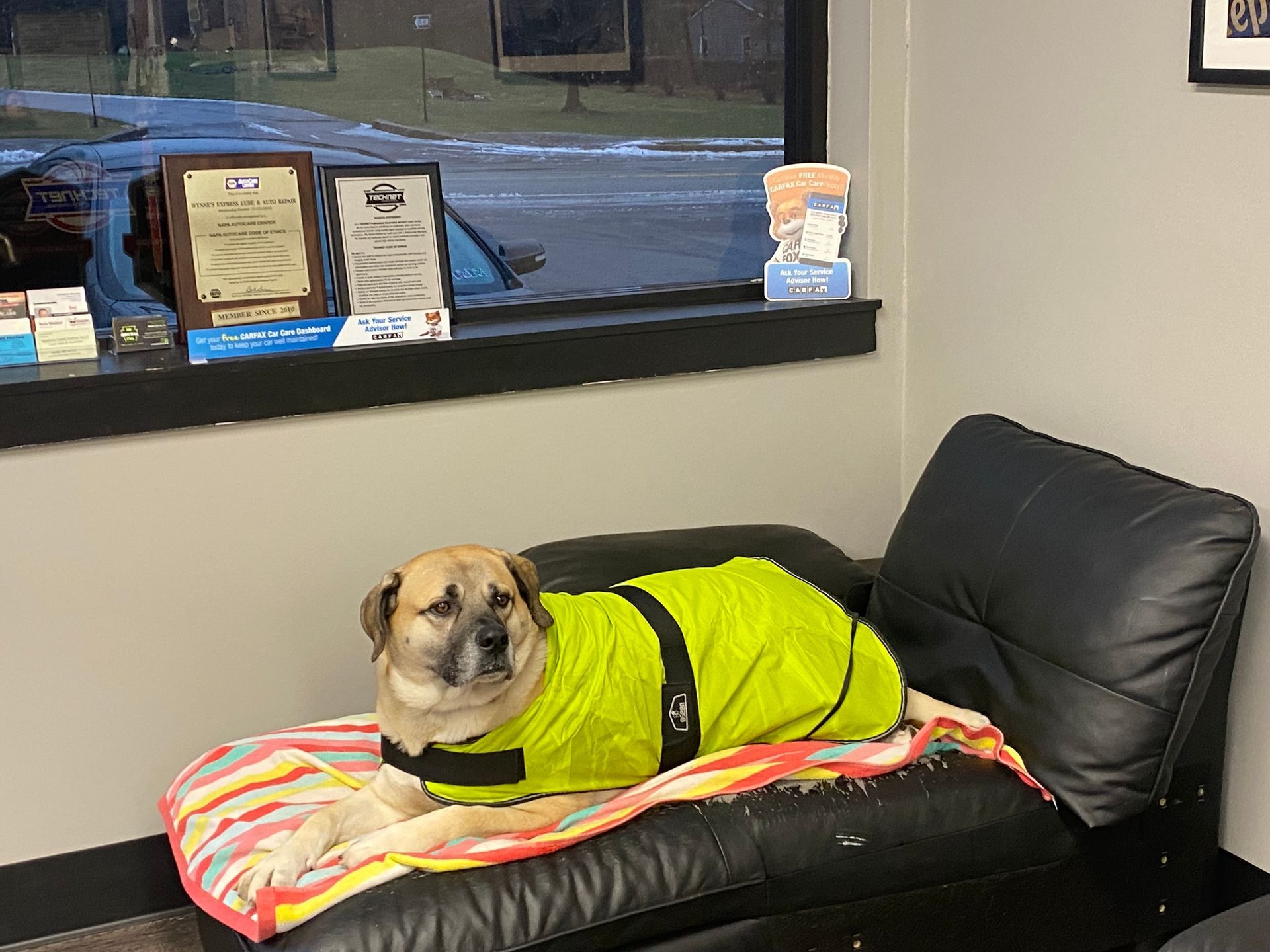 Shop Gallery | Wynnes Express Lube & Auto Repair Inc.