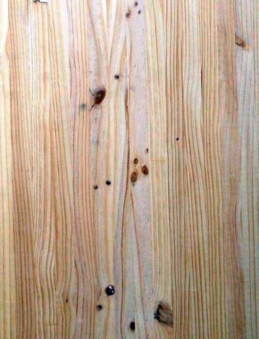 ASERRADERO LOS OCOTILLOS