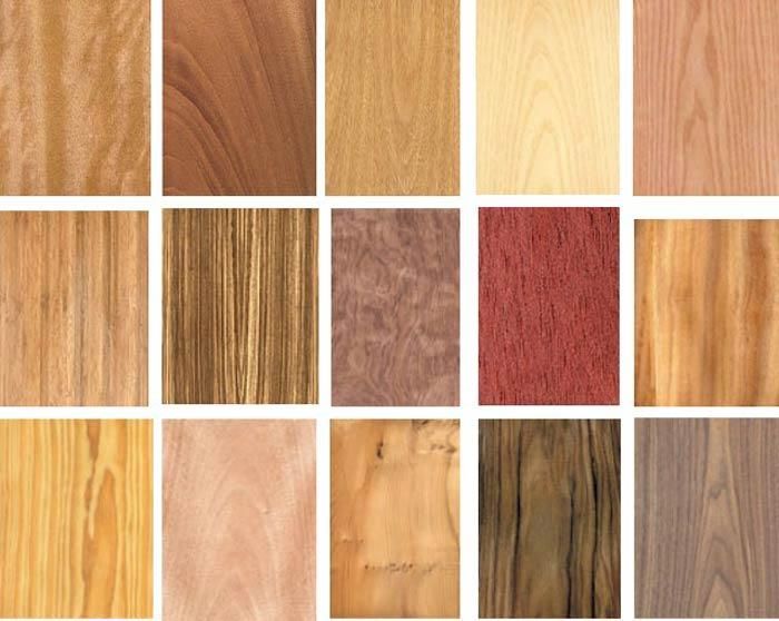 ASERRADERO LOS OCOTILLOS - DE PINO