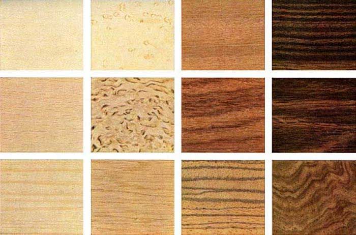 ASERRADERO LOS OCOTILLOS