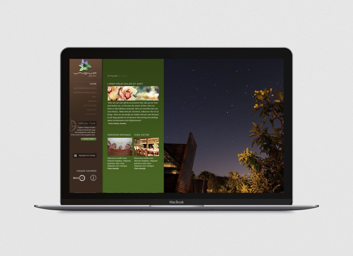 spa website development