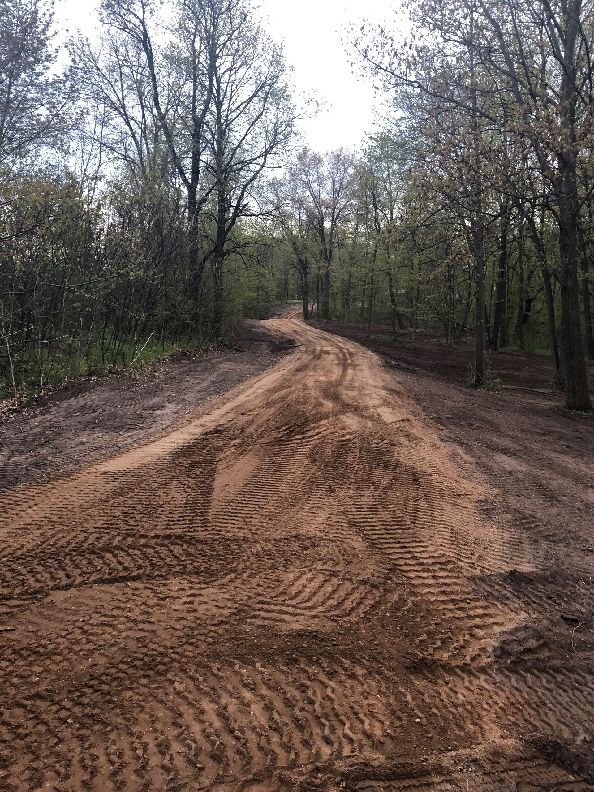 Dirt road winding through a forest; tire tracks visible in the freshly graded earth.