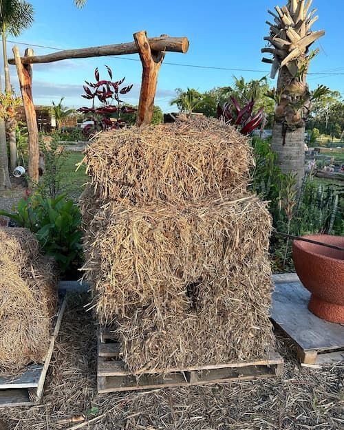 Sugar Cane Mulch — Howard Landscape and Produce Supplies in Howard, QLD