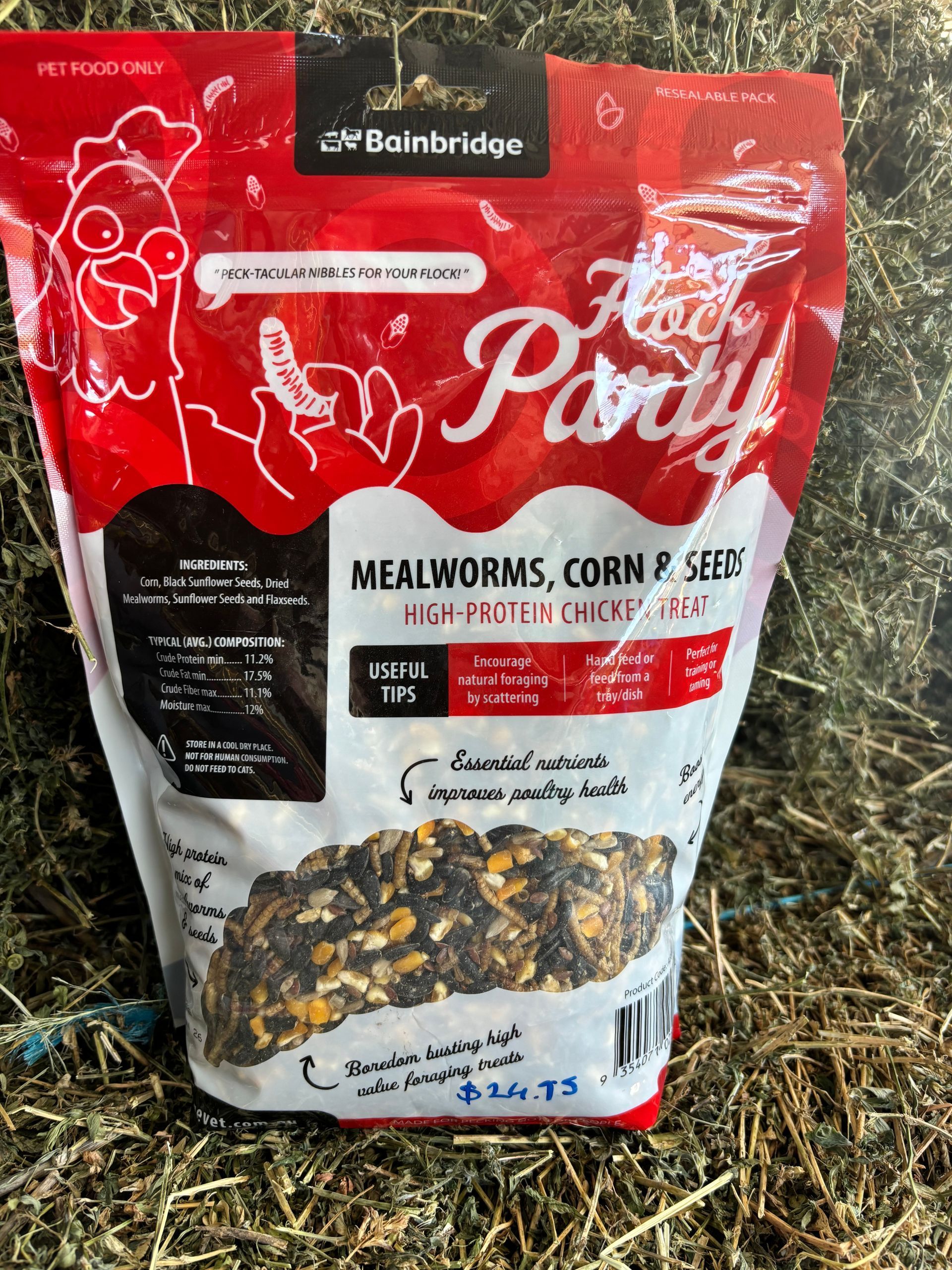 BAINBRIDGE FLOCK PARTY ~ Mealworms, Corn & Seeds