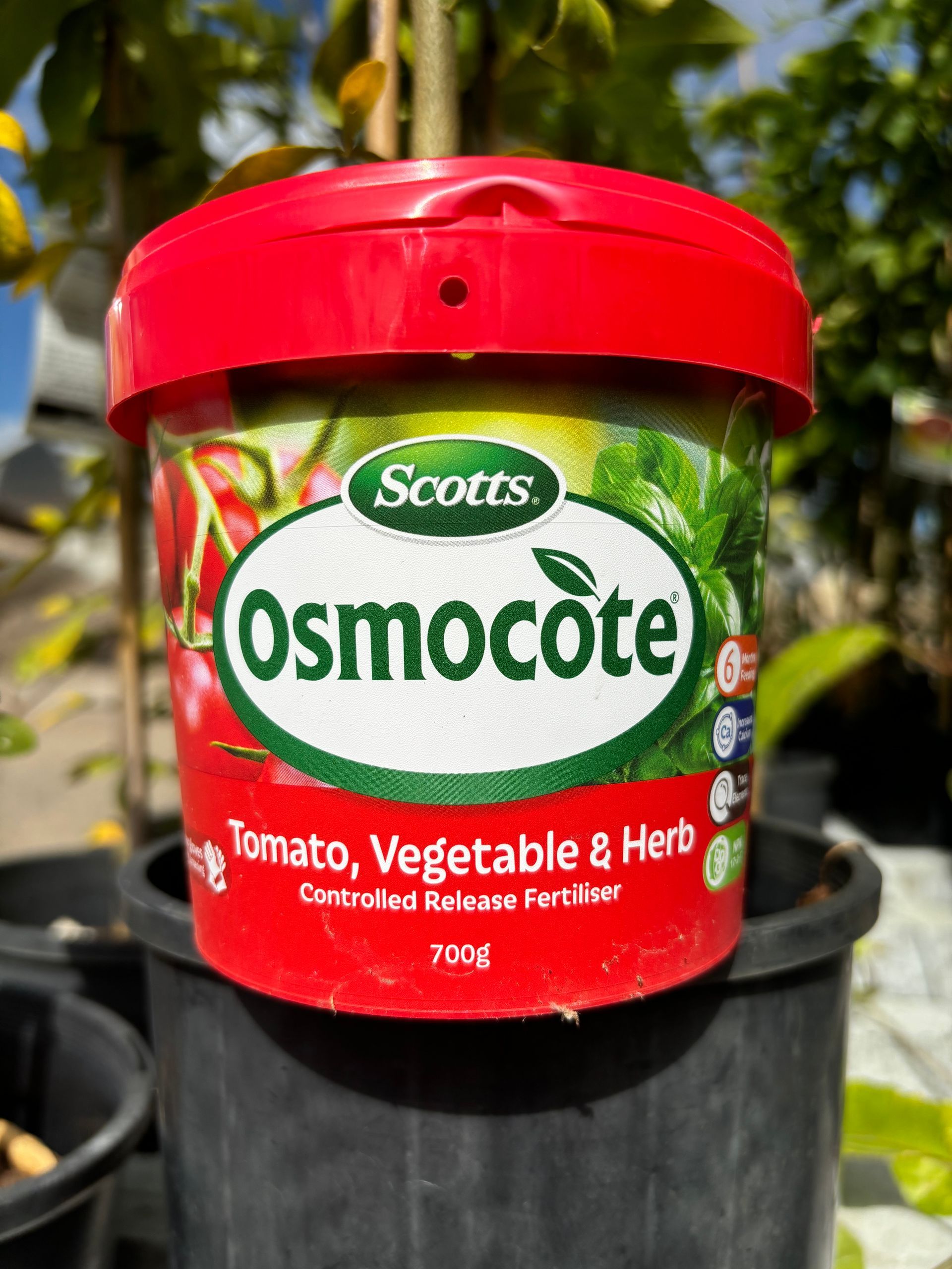 Scotts Osmocote Tomato, Vegetable and Herb Fertilizer
