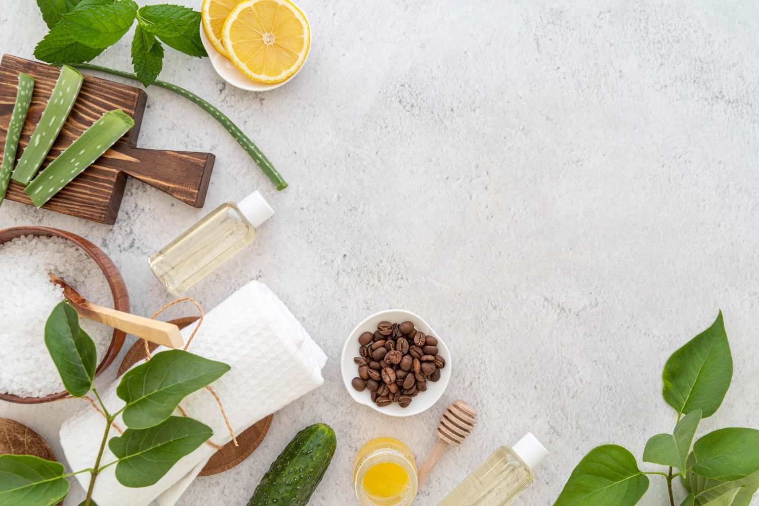 Arreglo con temática de spa: aloe vera, rodajas de limón, sales de baño, aceites y vegetación sobre una superficie blanca.