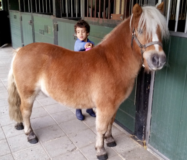 Hilvarenbeek coaching