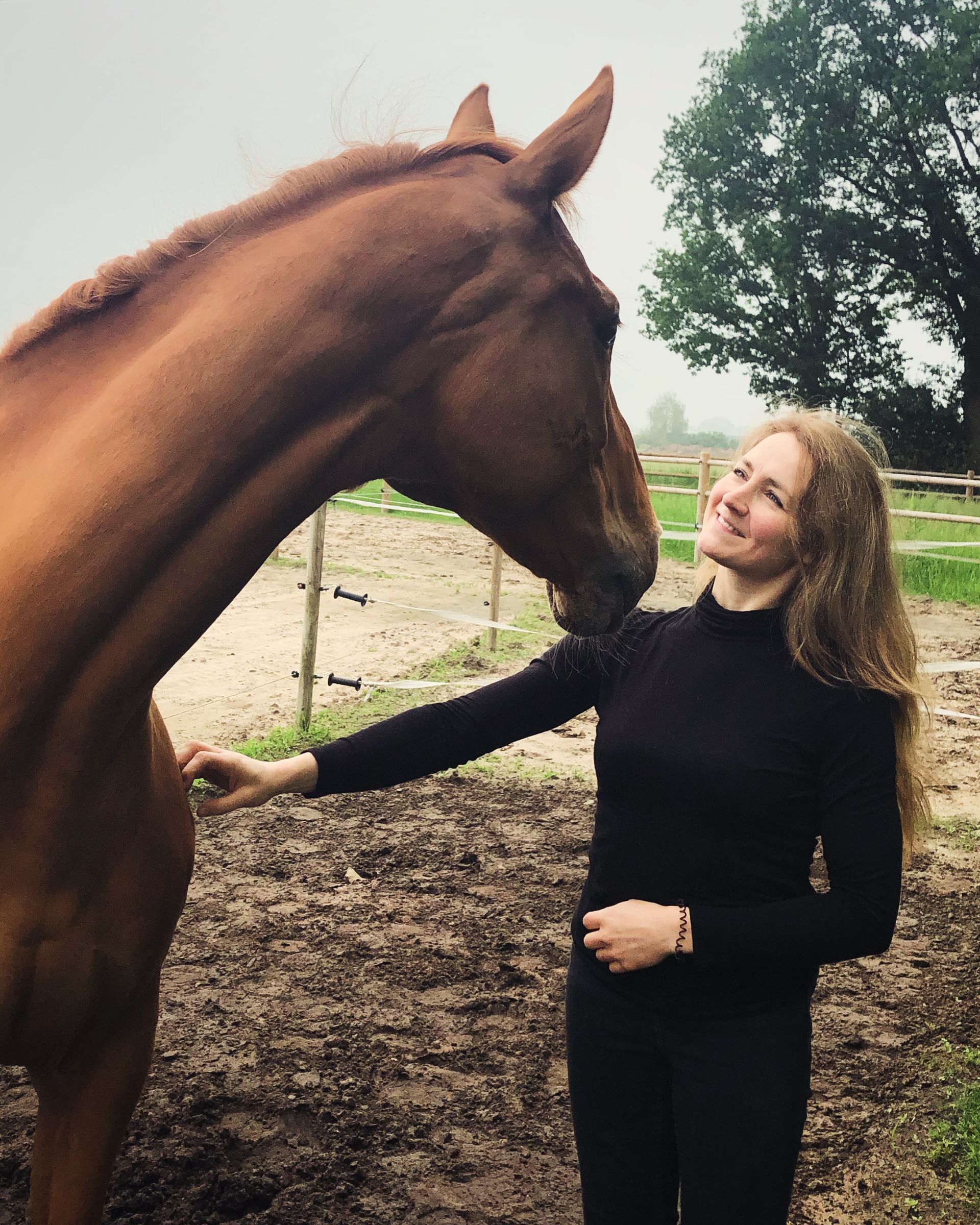 Coaching met paarden