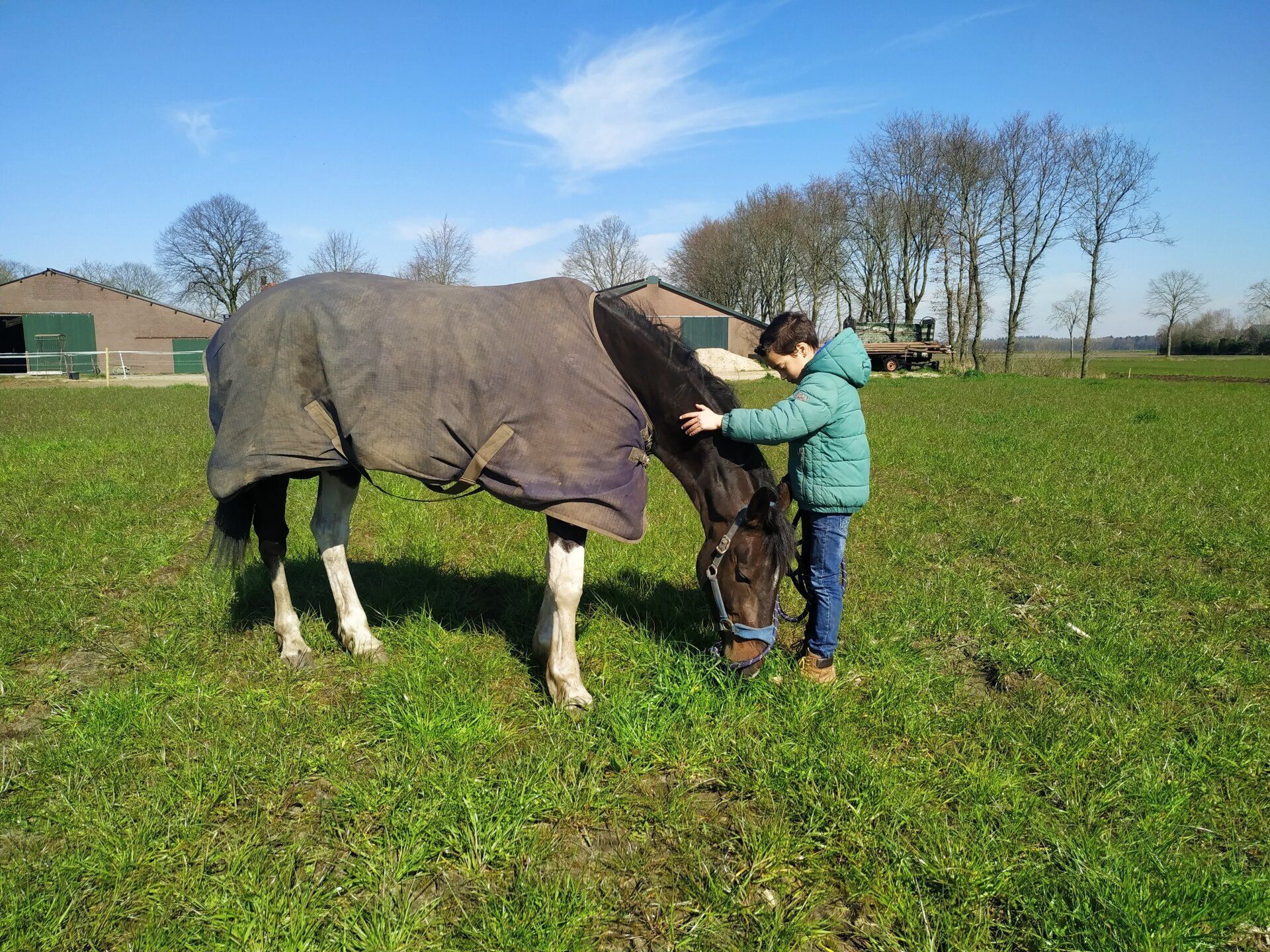 Effect paardencoaching
