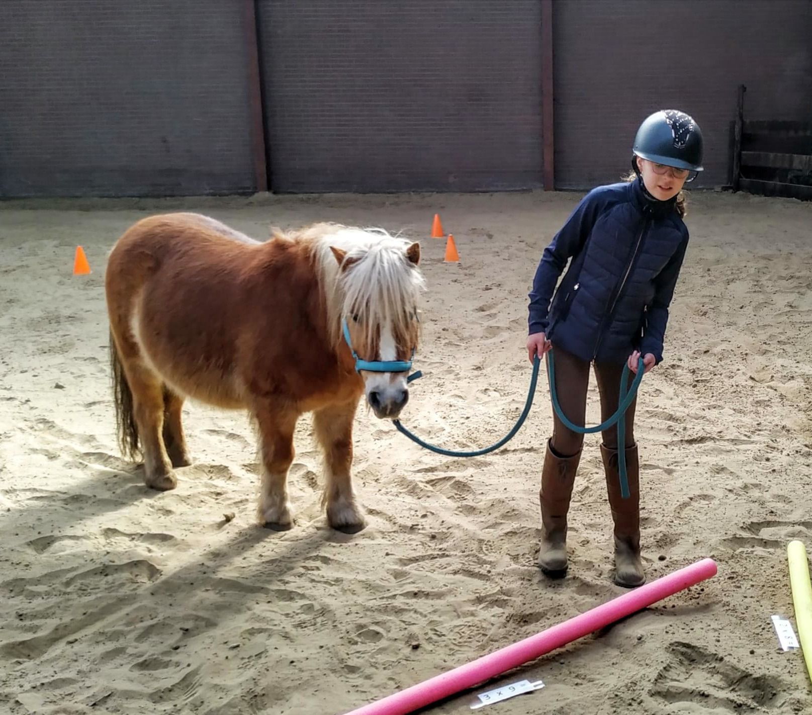 Een persoon in rijkleding leidt een kleine bruine pony met een blonde manen in een zanderige arena met kegels en zwembuizen.