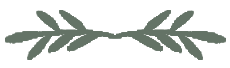 A drawing of a dragonfly on a white background.
