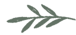 A drawing of a green branch with leaves on a white background.
