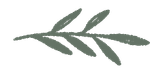 A drawing of a green leaf on a white background.