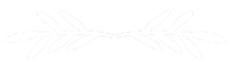 A white background with a few lines on it