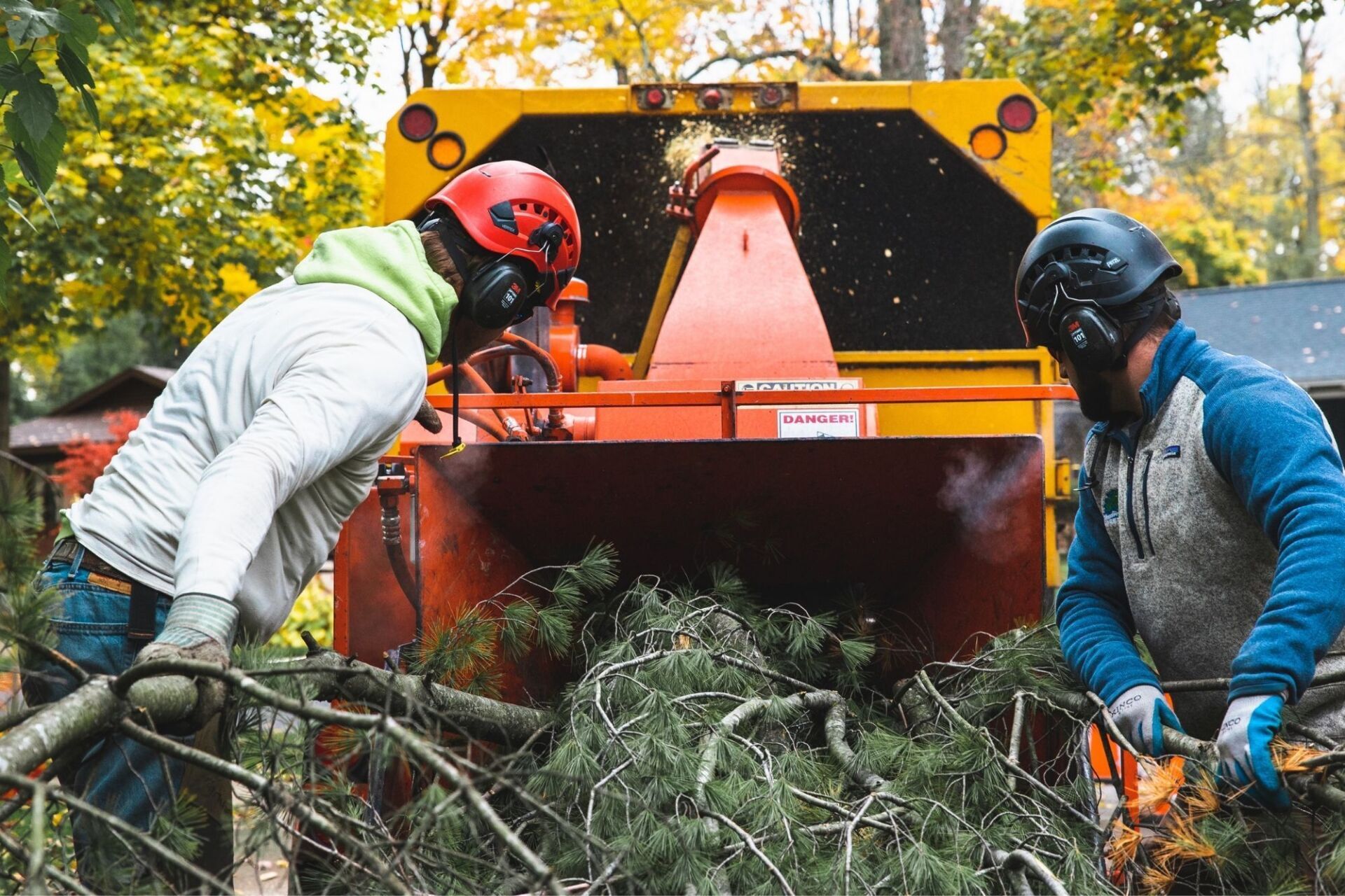 commercial tree service