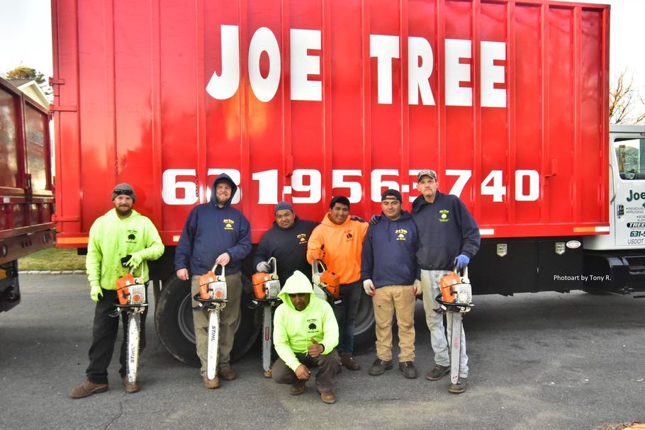 Joe Tree Service - Tree Removal