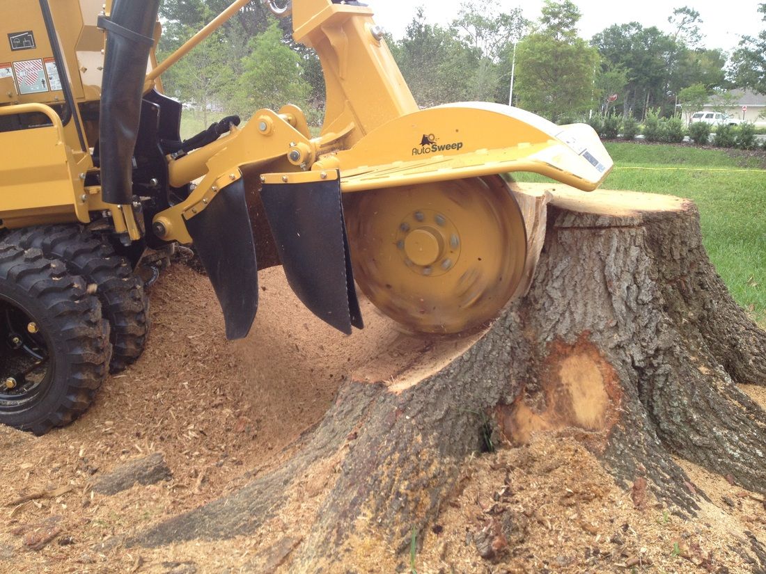 Tree Service Stump Grinding