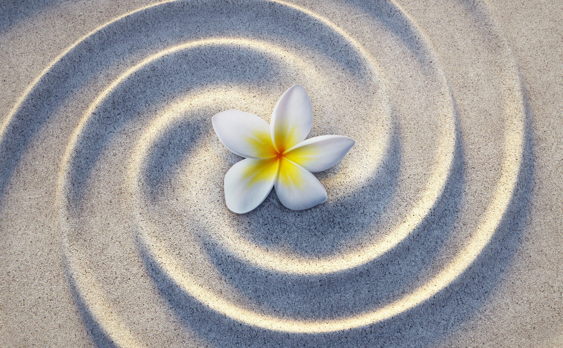 Eine weiß-gelbe Blüte liegt in einem Zen-Sandgarten