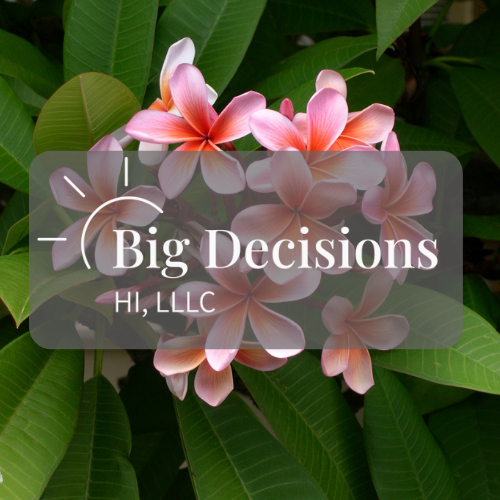 big decisions hawaii paternity blog post